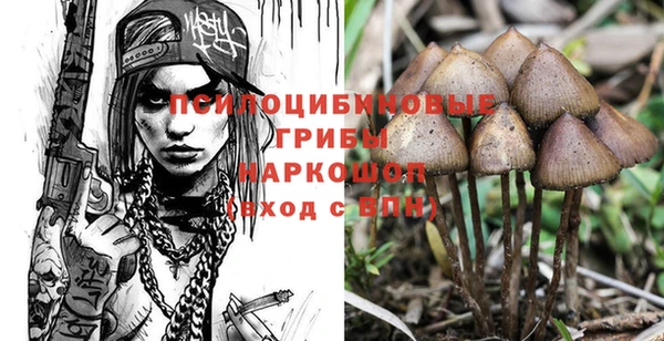 spice Алексин