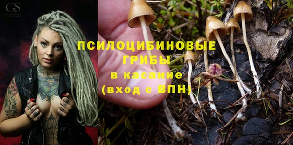 мескалин Алексеевка