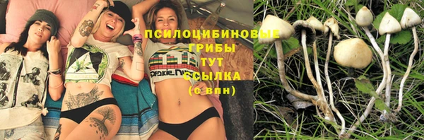 spice Алексин