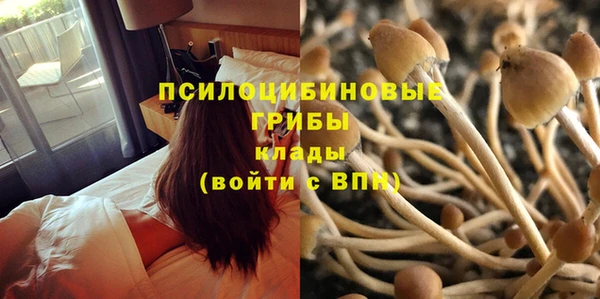 spice Алексин