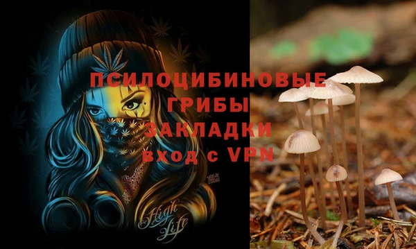spice Алексин