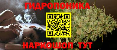 герыч Можга